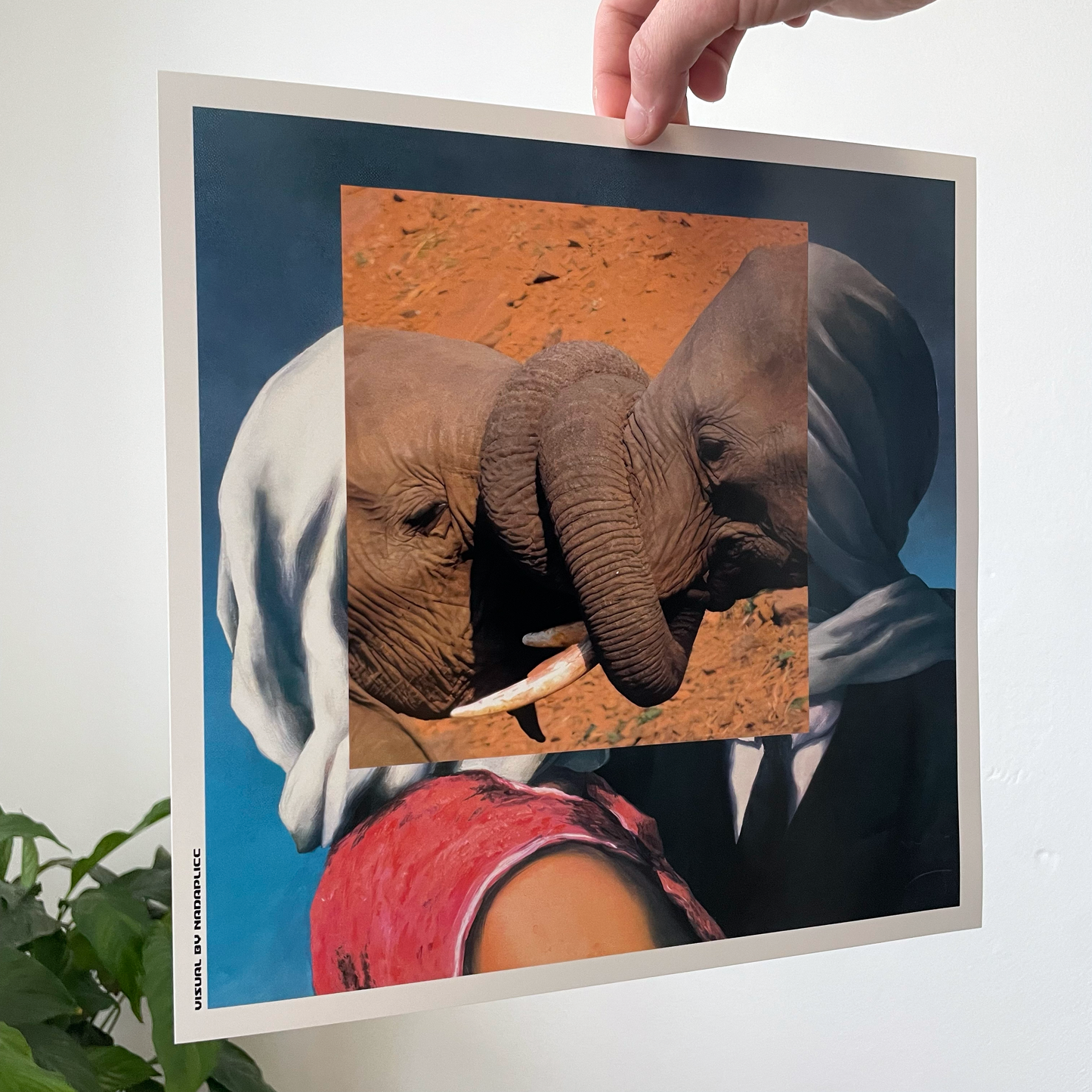 Elephantine Love