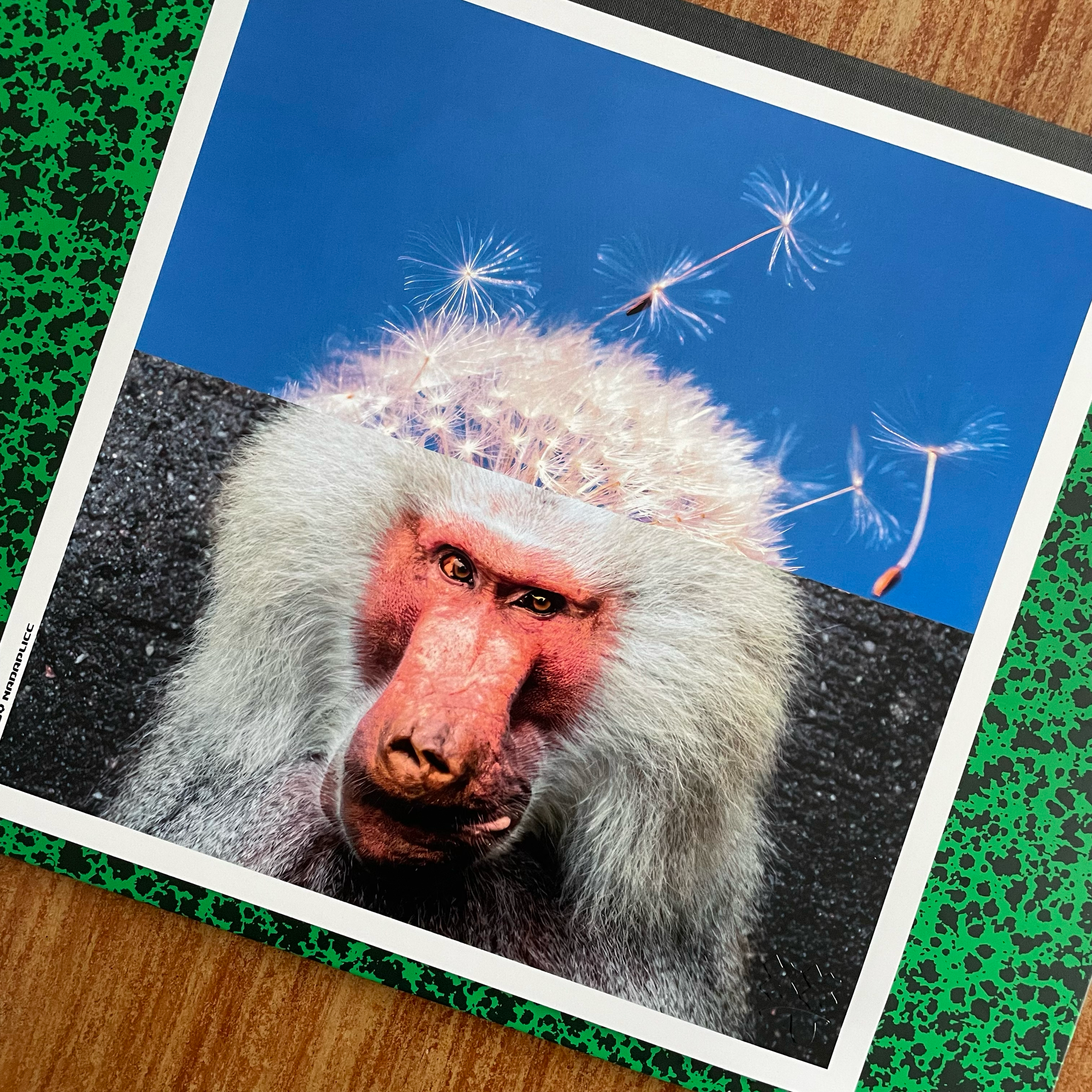 Détail du tirage d’art Primate Ponderings imprimé en France et poinçonné Nada Plicc