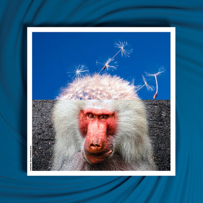 Mockup du tirage d’art Primate Ponderings sous cadre blanc pour décoration murale